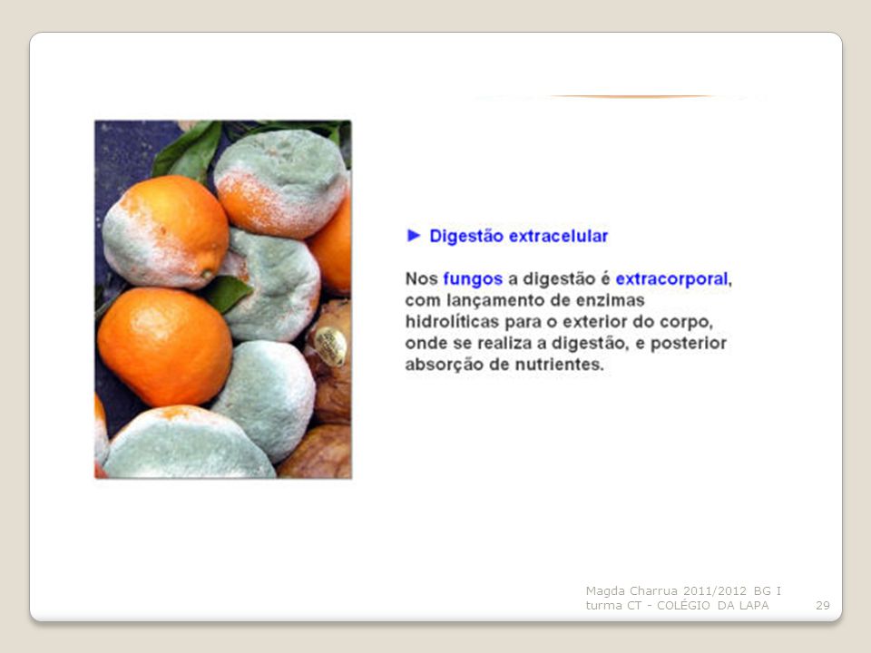 Grapefruit hipertónia A vérerek magas vérnyomással járó változásai