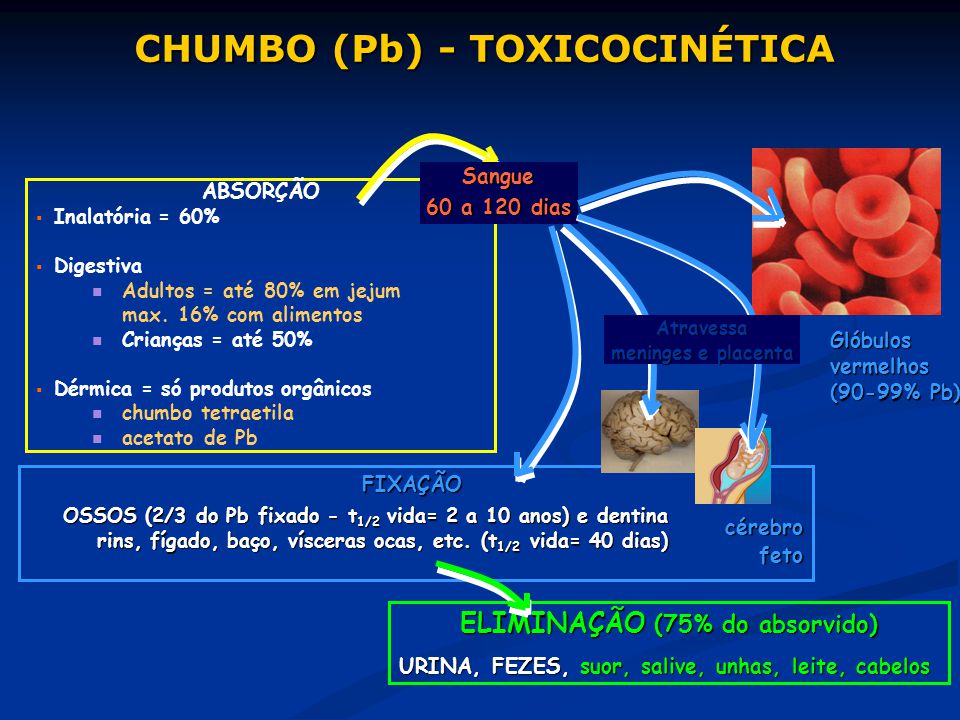 PPT - TOXICOLOGIA DOS METAIS PowerPoint Presentation, free download -  ID:889311