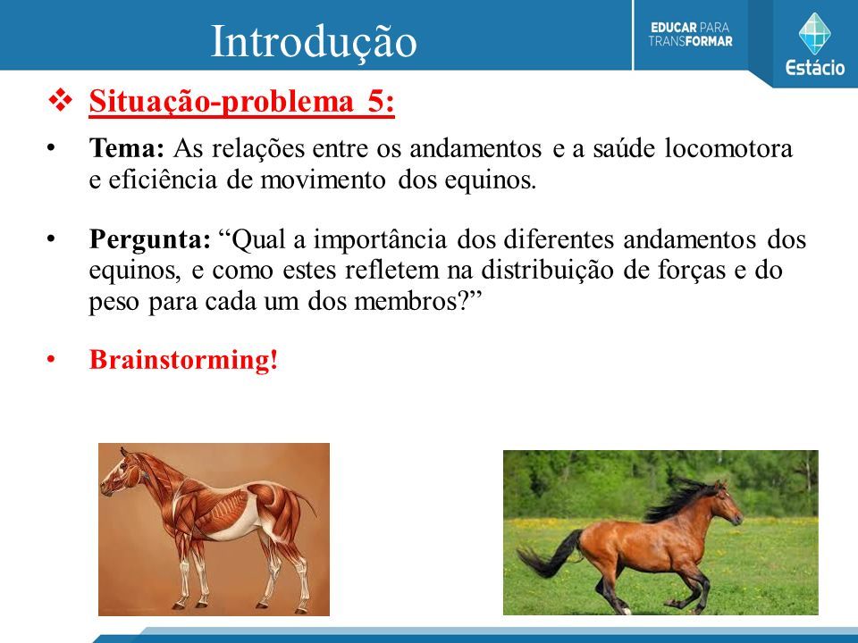 Aprumos O aspecto geral dos membros de sustentação do cavalo. - ppt carregar