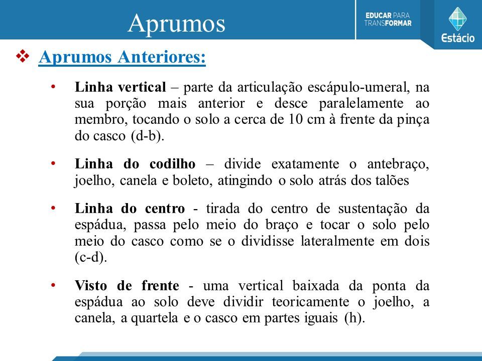 Aprumos O aspecto geral dos membros de sustentação do cavalo. - ppt carregar