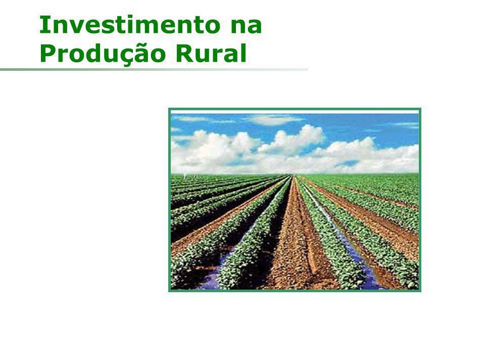 Investimento na Produção Rural