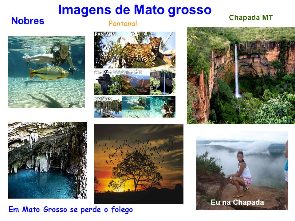 Nobres Imagens de Mato grosso Pantanal Chapada MT Eu na Chapada Em Mato Grosso se perde o folego Pantanal
