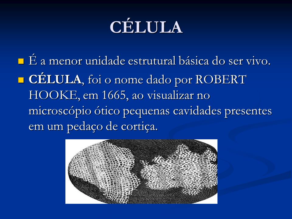 CÉLULA É a menor unidade estrutural básica do ser vivo.