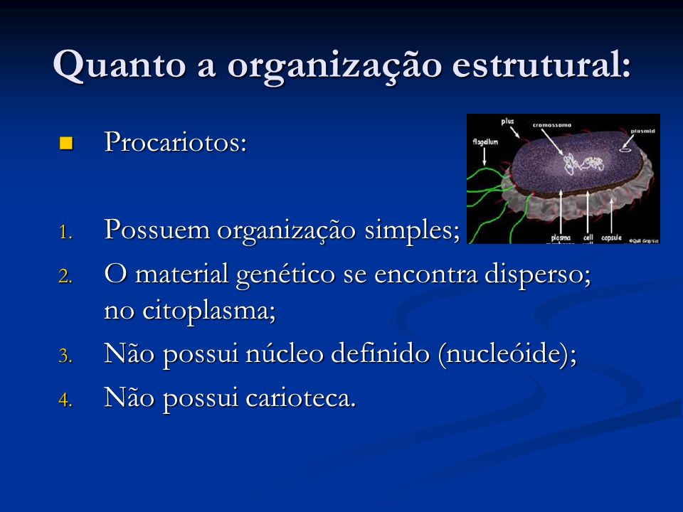 Quanto a organização estrutural: Procariotos: Procariotos: 1.