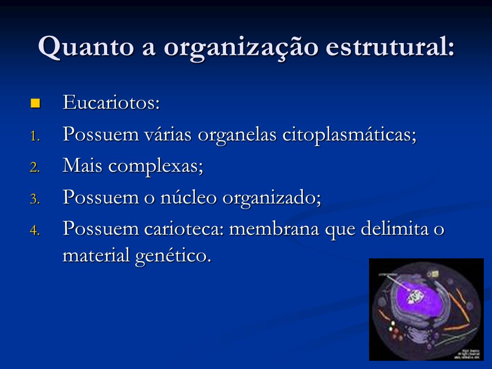 Quanto a organização estrutural: Eucariotos: Eucariotos: 1.