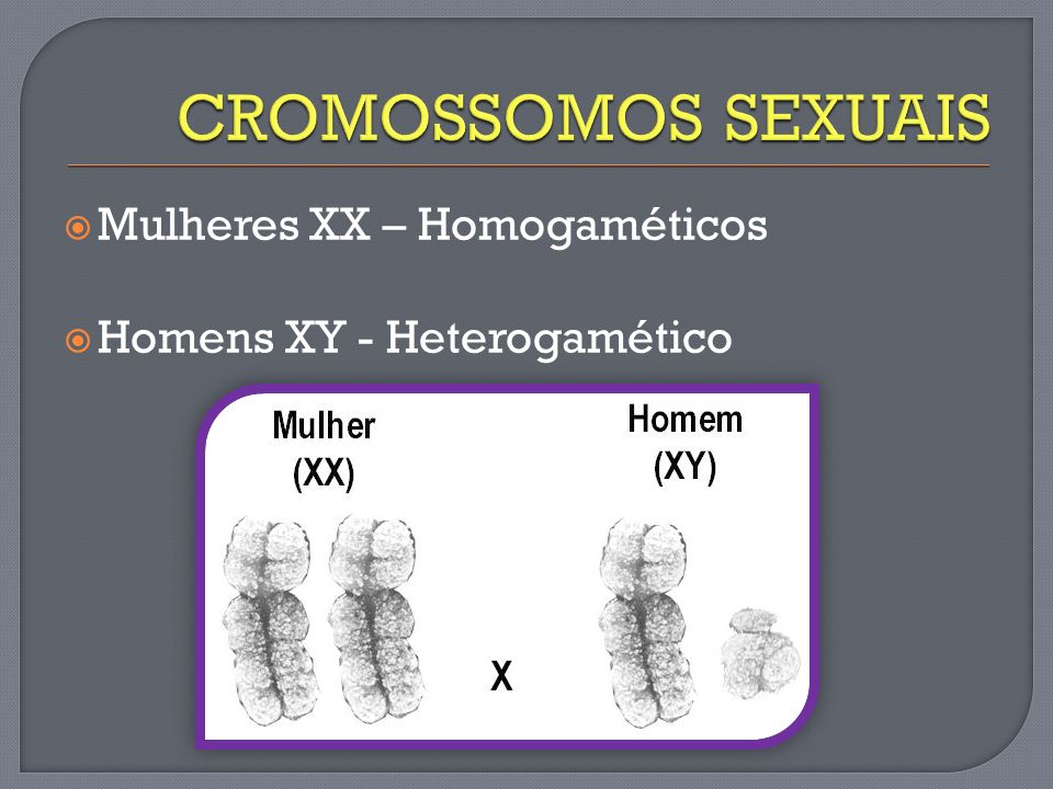 slide_8.jpg