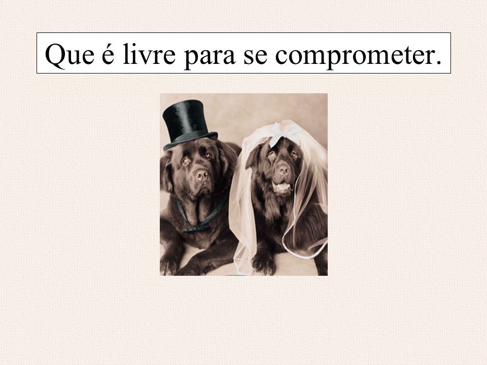 Esse slide foi feito por Luana Rodrigues em , e você não pode alterar nada nele.