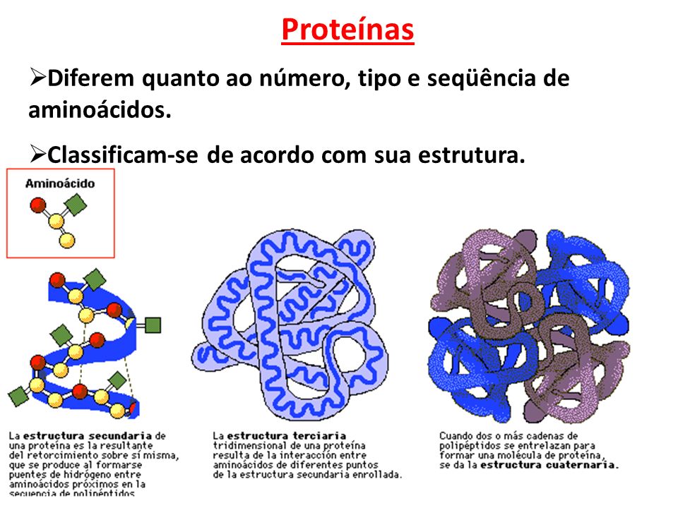 Las proteinas caducan