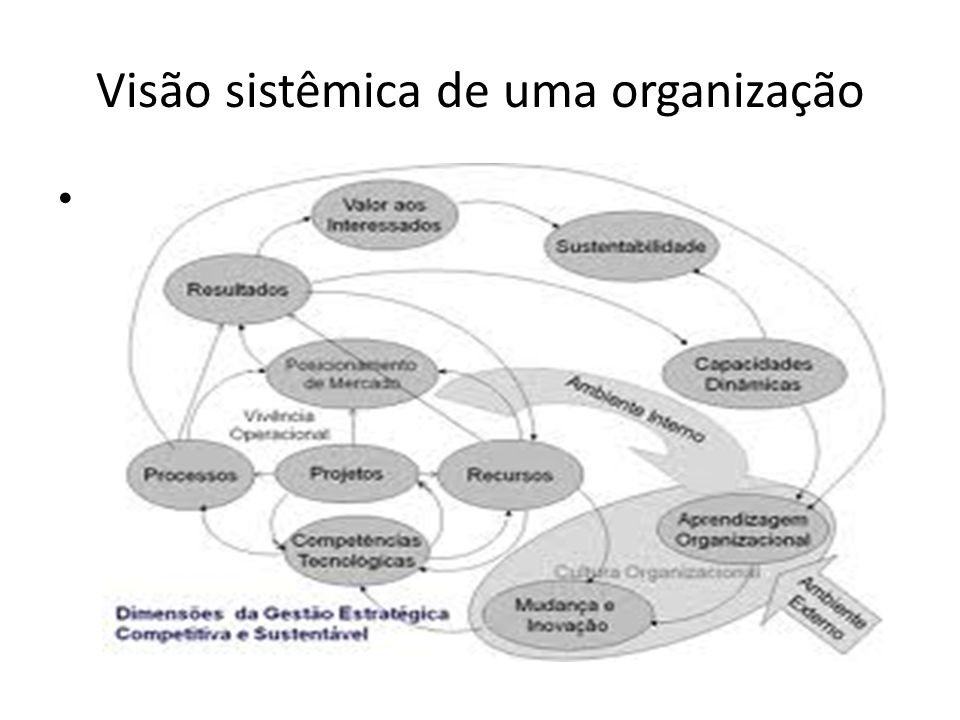 Visão sistêmica de uma organização