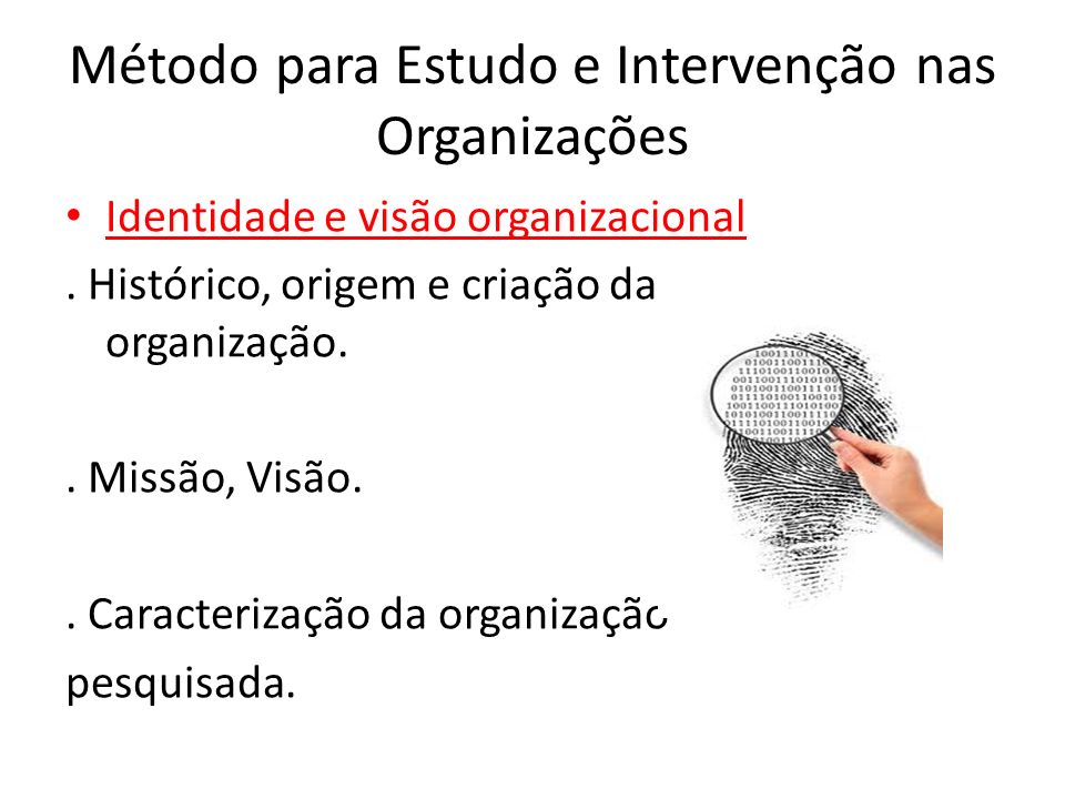 Método para Estudo e Intervenção nas Organizações Identidade e visão organizacional.