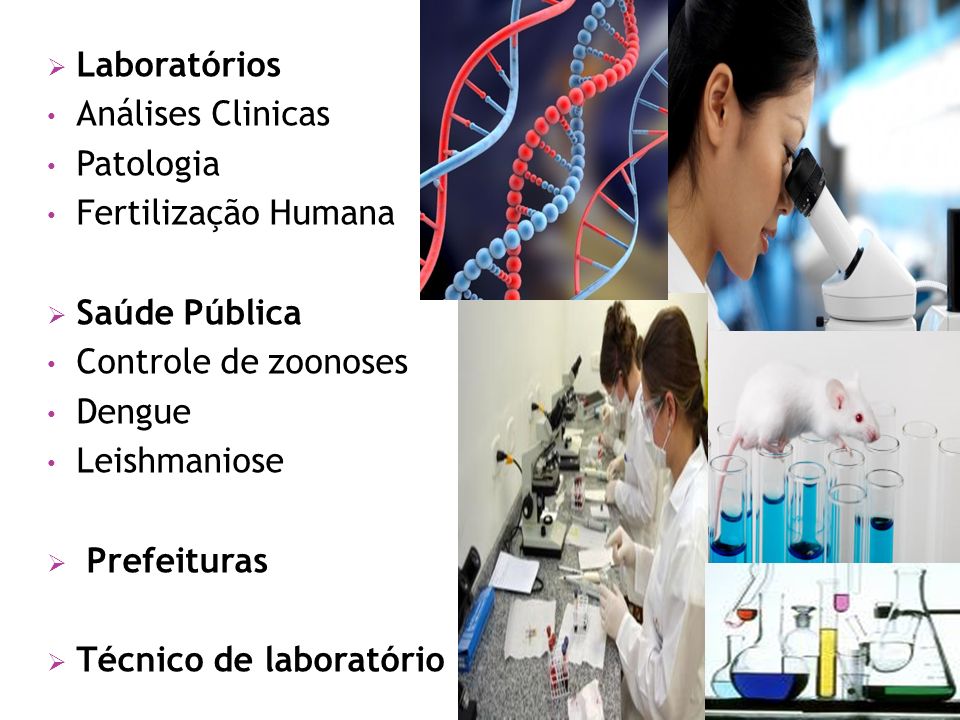  Laboratórios Análises Clinicas Patologia Fertilização Humana  Saúde Pública Controle de zoonoses Dengue Leishmaniose  Prefeituras  Técnico de laboratório