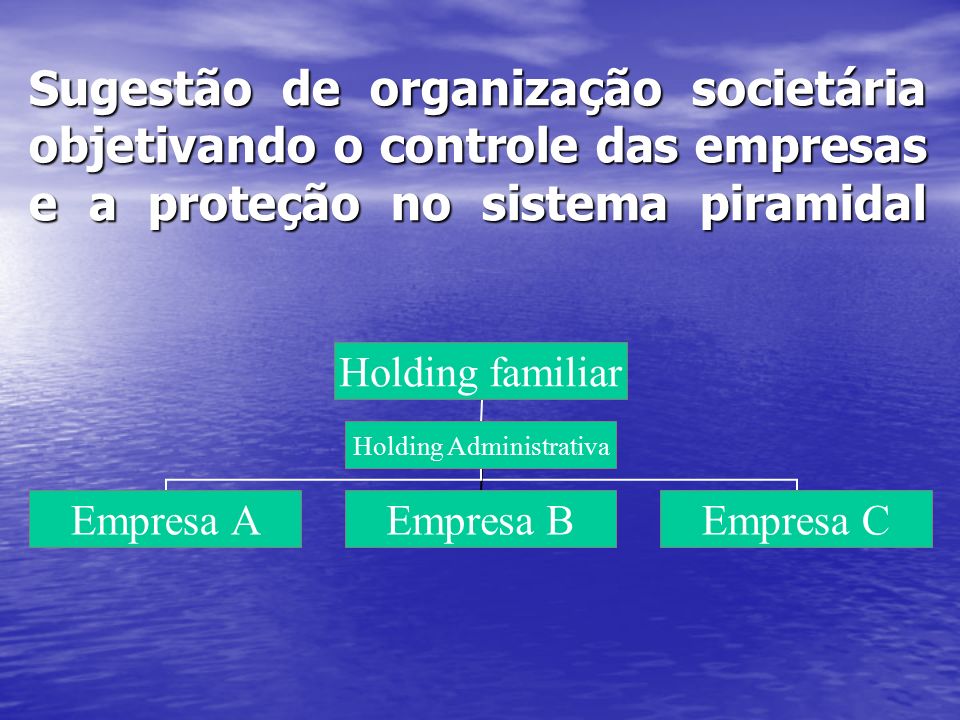Sugestão de organização societária objetivando o controle das empresas e a proteção no sistema piramidal