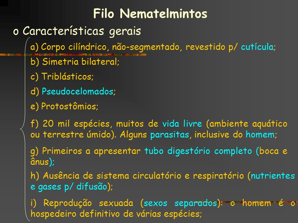 Filo Nematelmintos o Características gerais a) Corpo cilíndrico ...