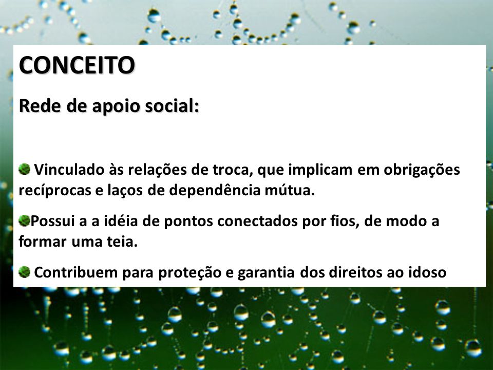 Redes de apoio social ao idoso