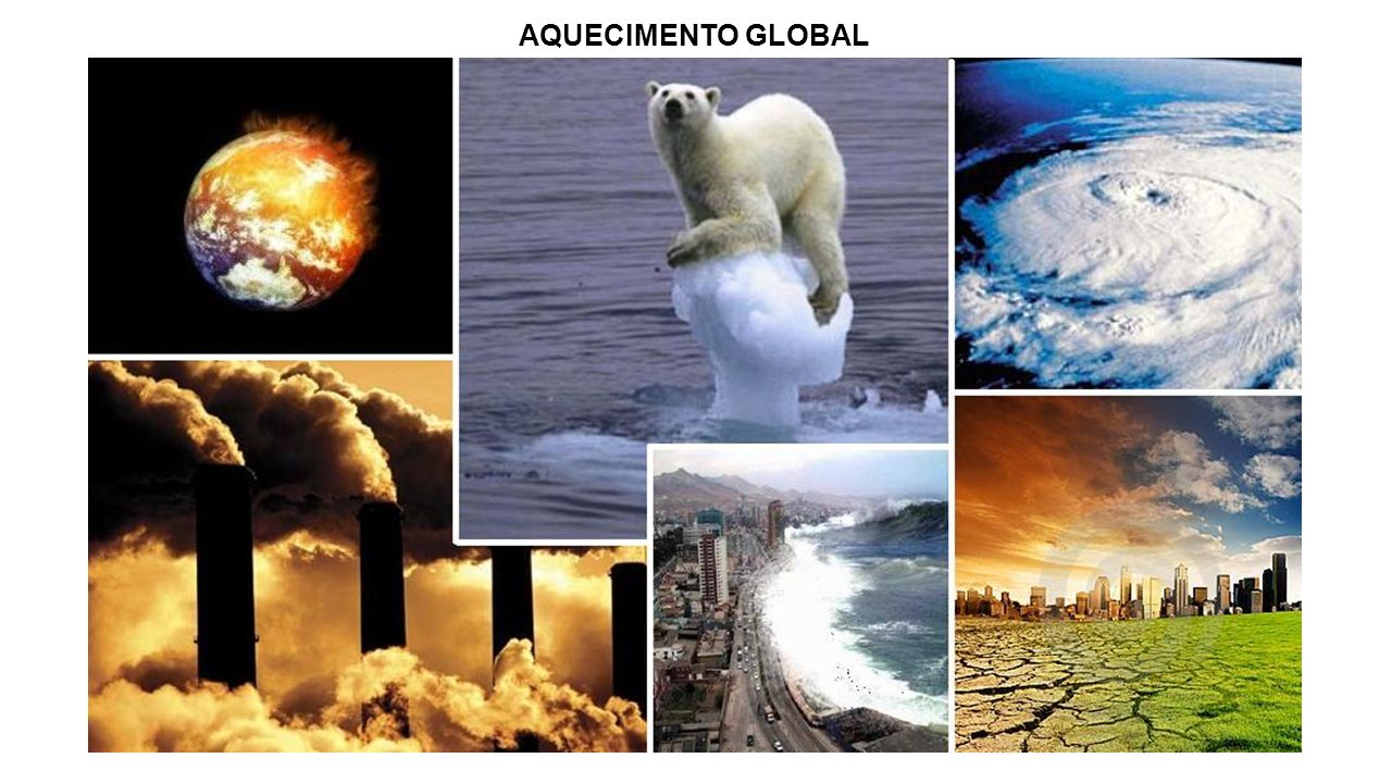 Что относится к возможным последствиям глобального потепления