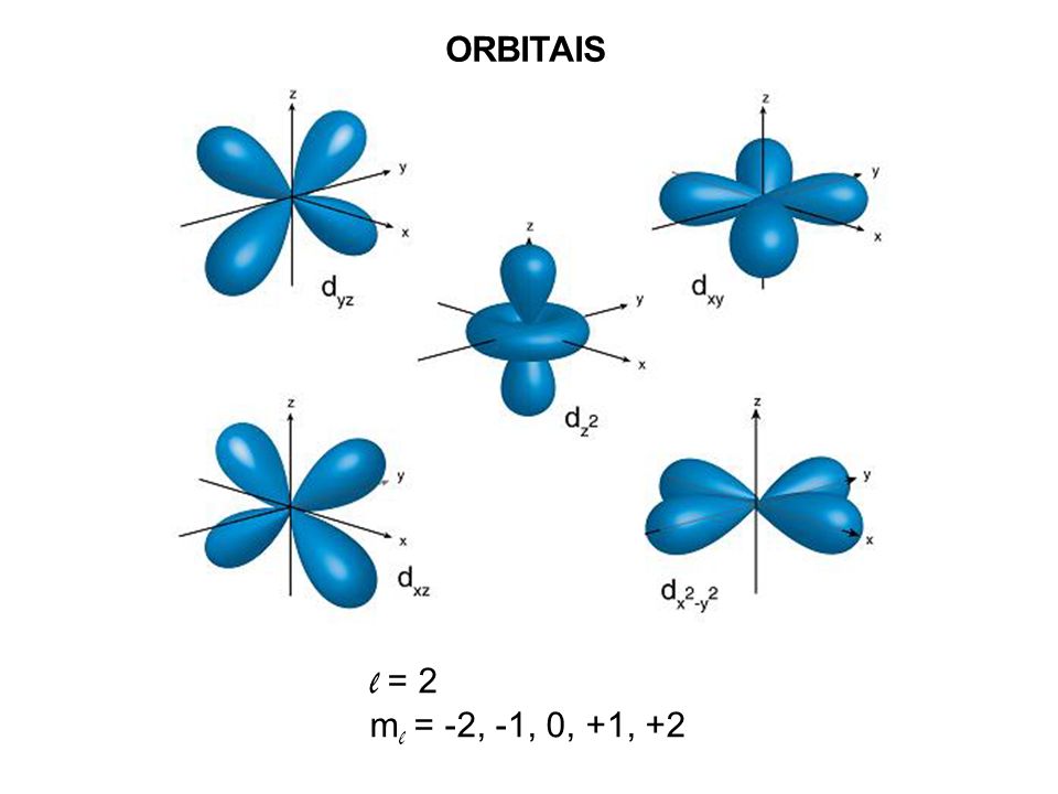 ORBITAIS l = 2 m l = -2, -1, 0, +1, +2