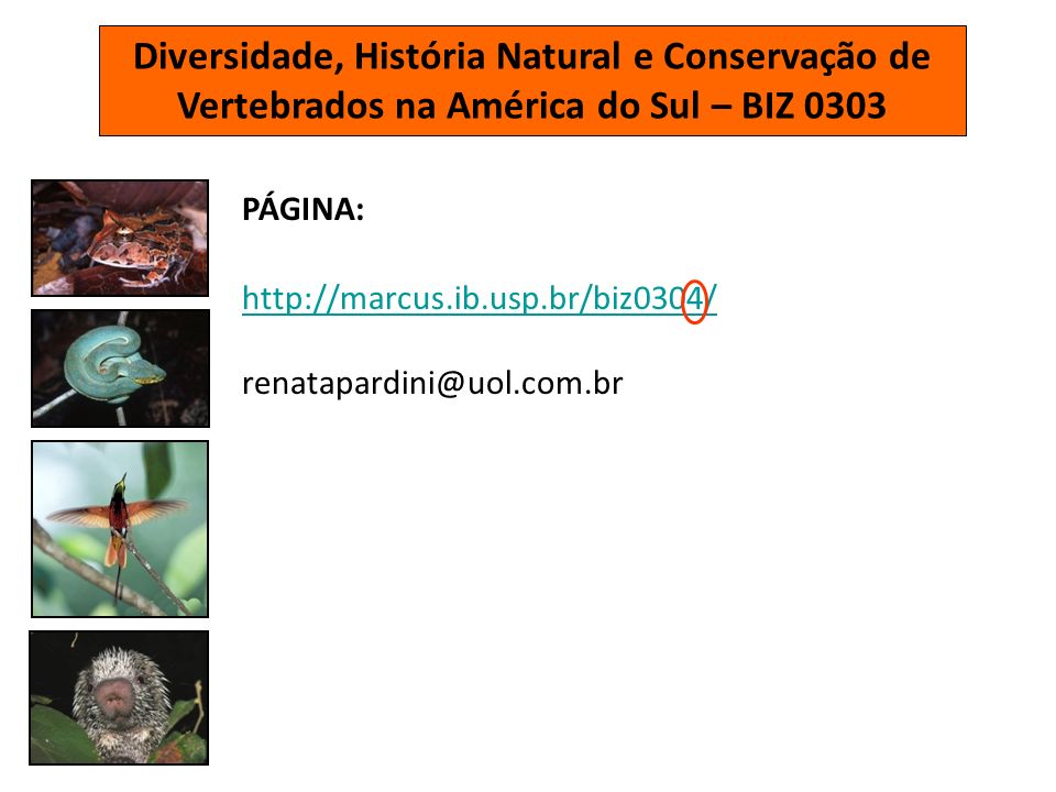 Diversidade, História Natural e Conservação de Vertebrados na América do Sul – BIZ 0303 PÁGINA: