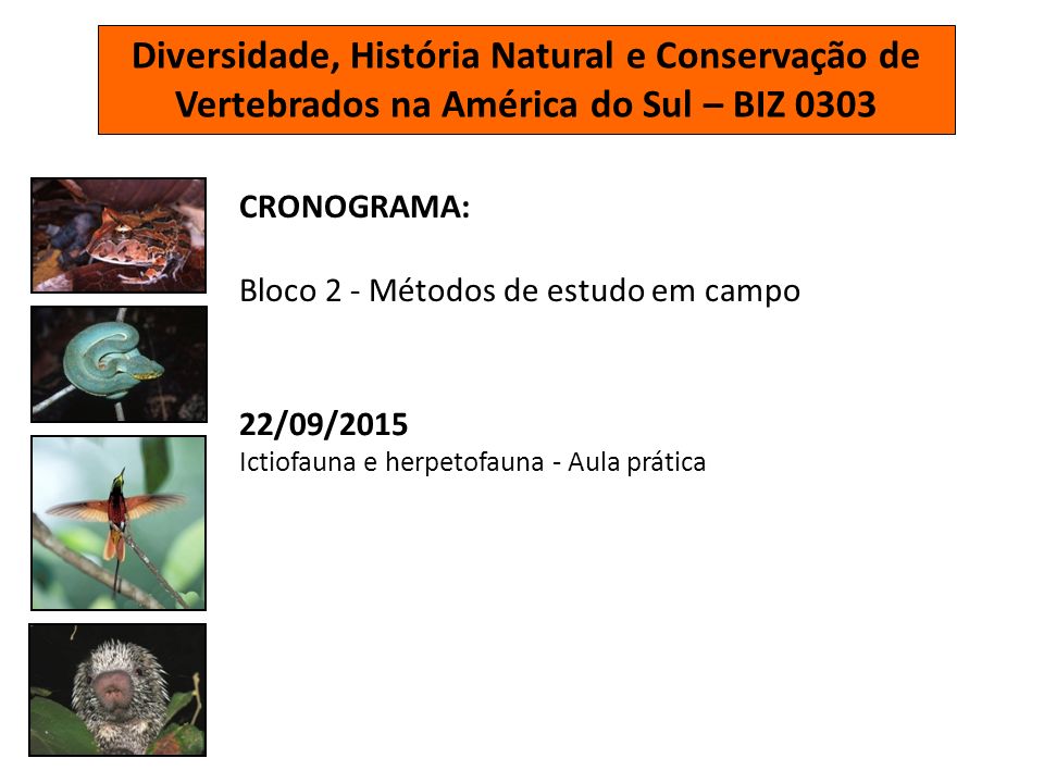 Diversidade, História Natural e Conservação de Vertebrados na América do Sul – BIZ 0303 CRONOGRAMA: Bloco 2 - Métodos de estudo em campo 22/09/2015 Ictiofauna e herpetofauna - Aula prática