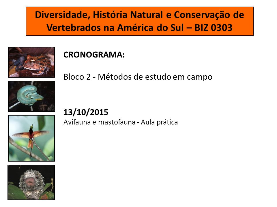 Diversidade, História Natural e Conservação de Vertebrados na América do Sul – BIZ 0303 CRONOGRAMA: Bloco 2 - Métodos de estudo em campo 13/10/2015 Avifauna e mastofauna - Aula prática