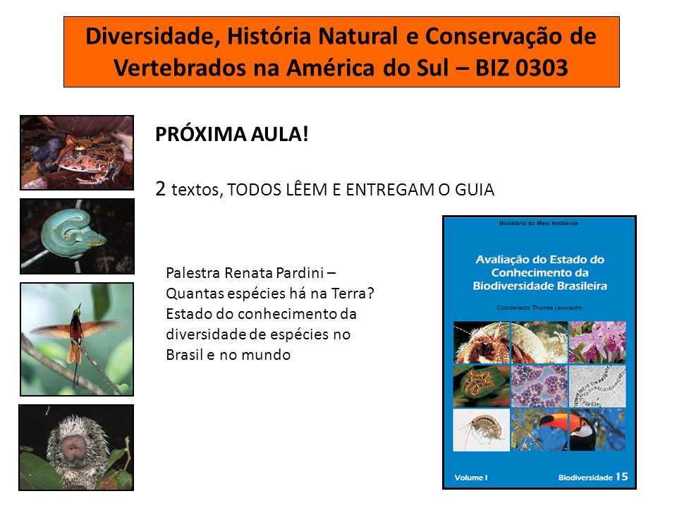 Diversidade, História Natural e Conservação de Vertebrados na América do Sul – BIZ 0303 PRÓXIMA AULA.