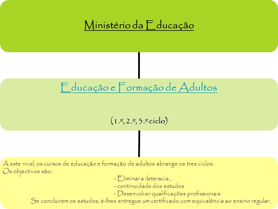 Ministério da Educação Educação e Formação de Adultos Educação e Formação de Adultos (1.º, 2.º, 3.º ciclo) A este nivel, os cursos de educação e formação de adultos abrange os tres ciclos.