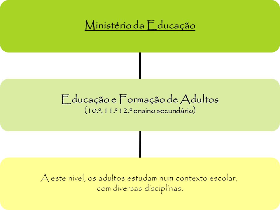 Ministério da Educação Educação e Formação de Adultos (10.º, 11.º 12.º ensino secundário) A este nivel, os adultos estudam num contexto escolar, com diversas disciplinas.