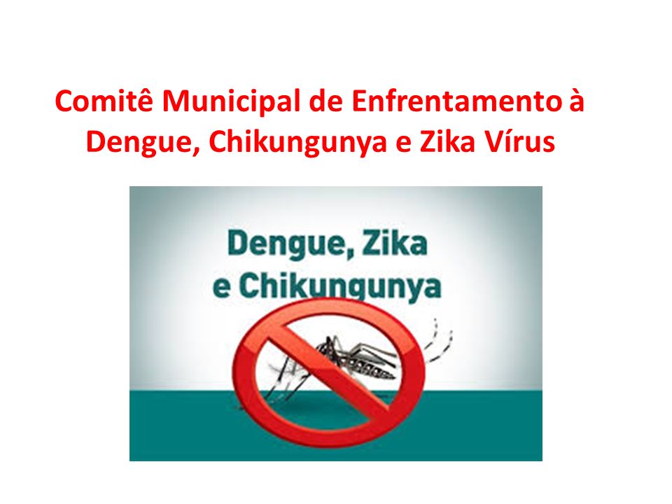 Comitê Municipal de Enfrentamento à Dengue, Chikungunya e Zika Vírus