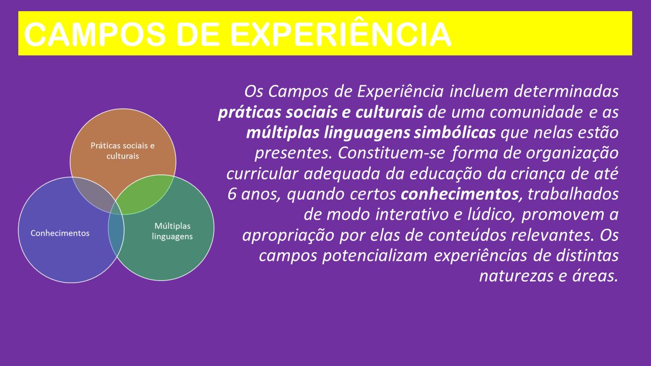 Os Campos de Experiência incluem determinadas práticas sociais e culturais de uma comunidade e as múltiplas linguagens simbólicas que nelas estão presentes.