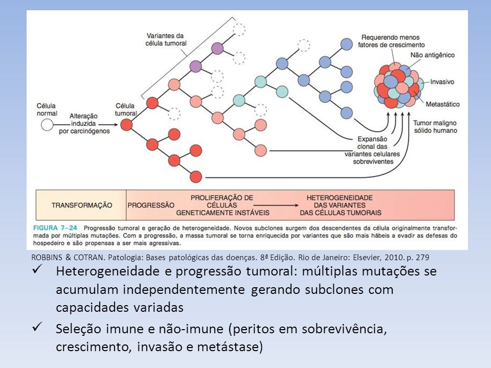 Resultado de imagem para Bases moleculares e celulares do tumor