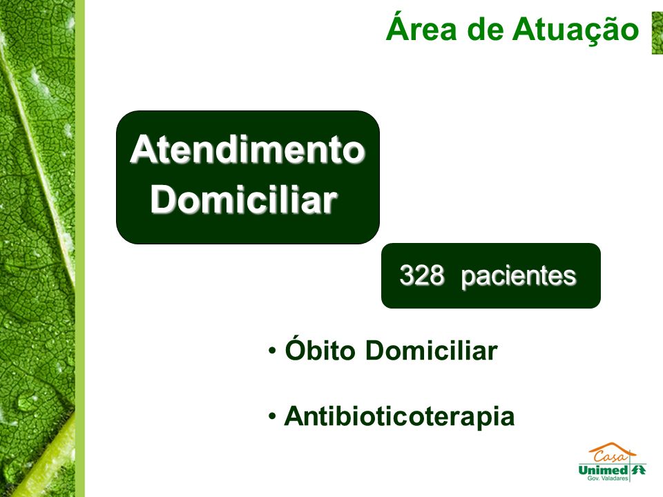 Área de Atuação Óbito Domiciliar Antibioticoterapia AtendimentoDomiciliar 328 pacientes