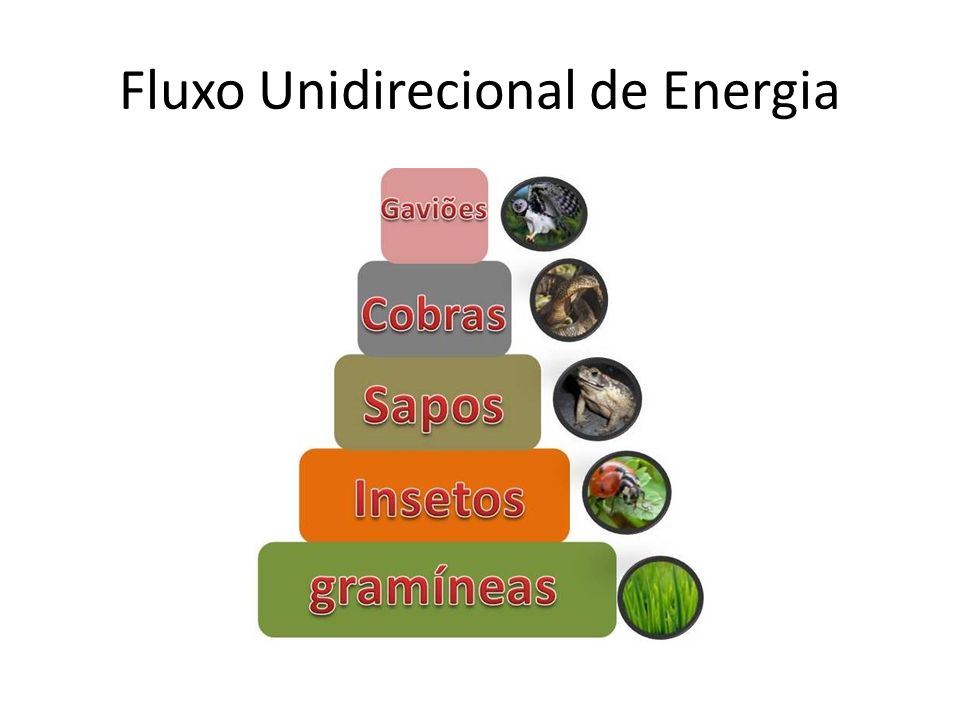 Fluxo Unidirecional de Energia