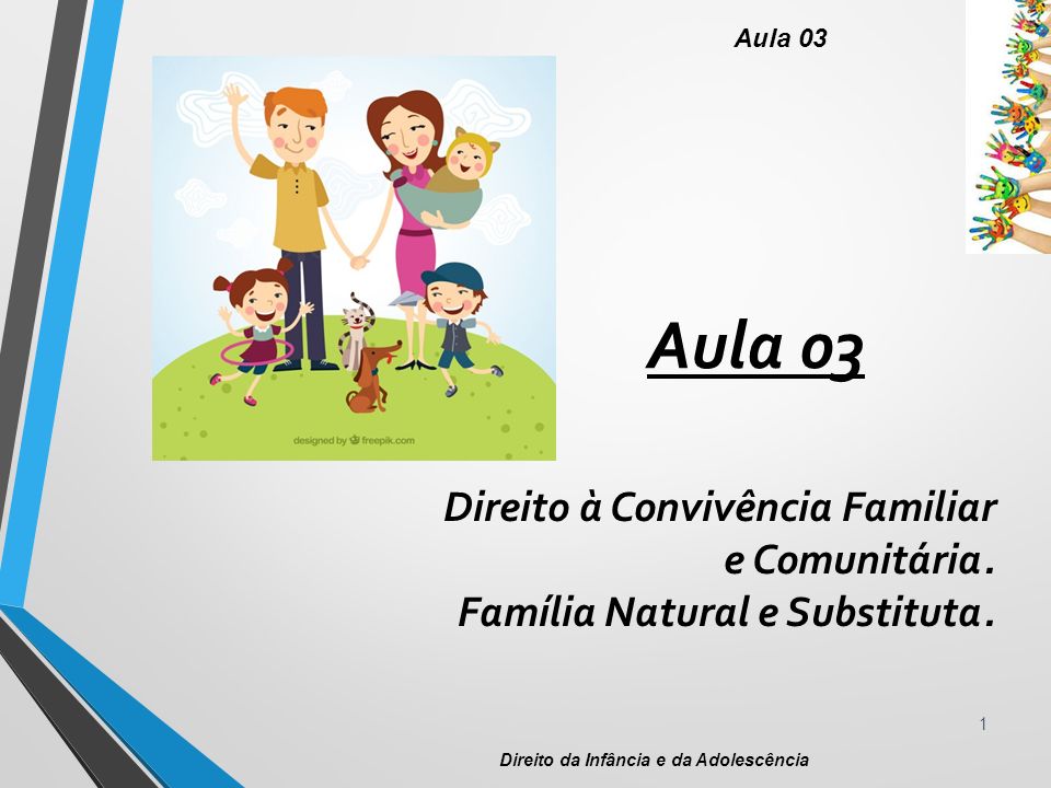 1 Direito da Infância e da Adolescência Aula 03 Direito à Convivência Familiar e Comunitária.