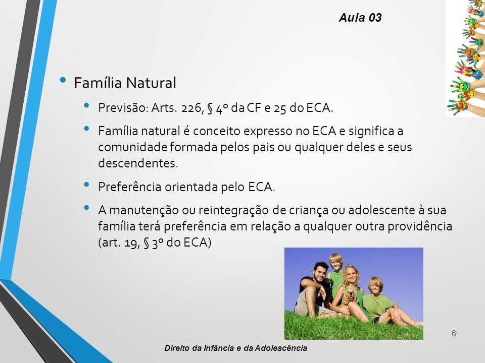 Família Natural Previsão: Arts. 226, § 4º da CF e 25 do ECA.