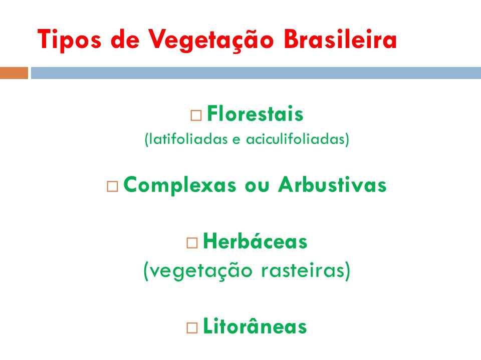 Aula de Geografia: Vegetação 