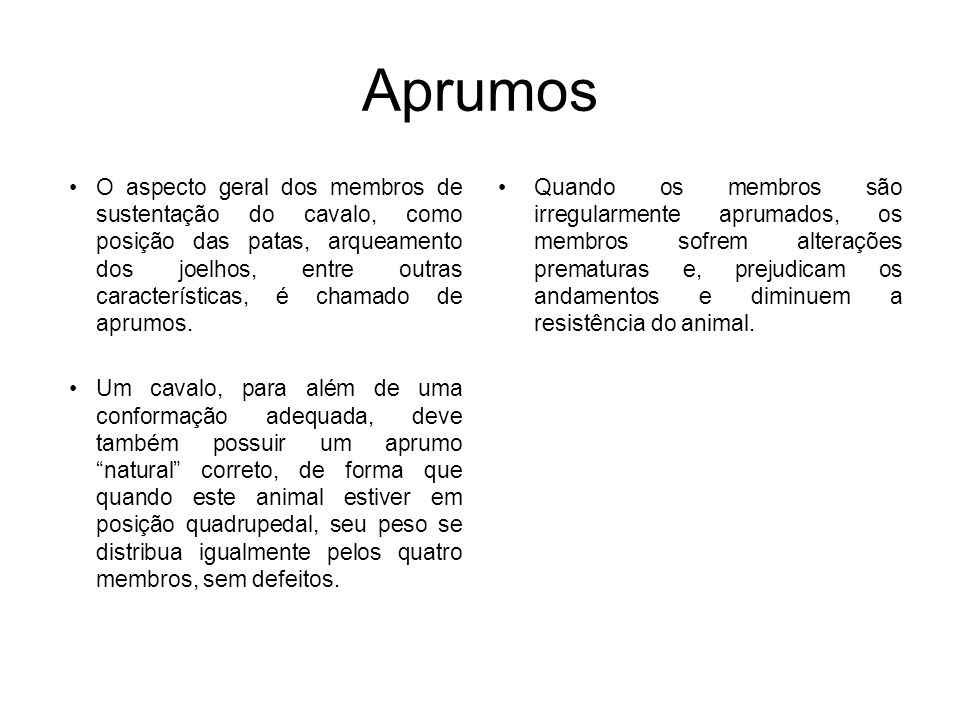 Aprumos O aspecto geral dos membros de sustentação do cavalo. - ppt carregar