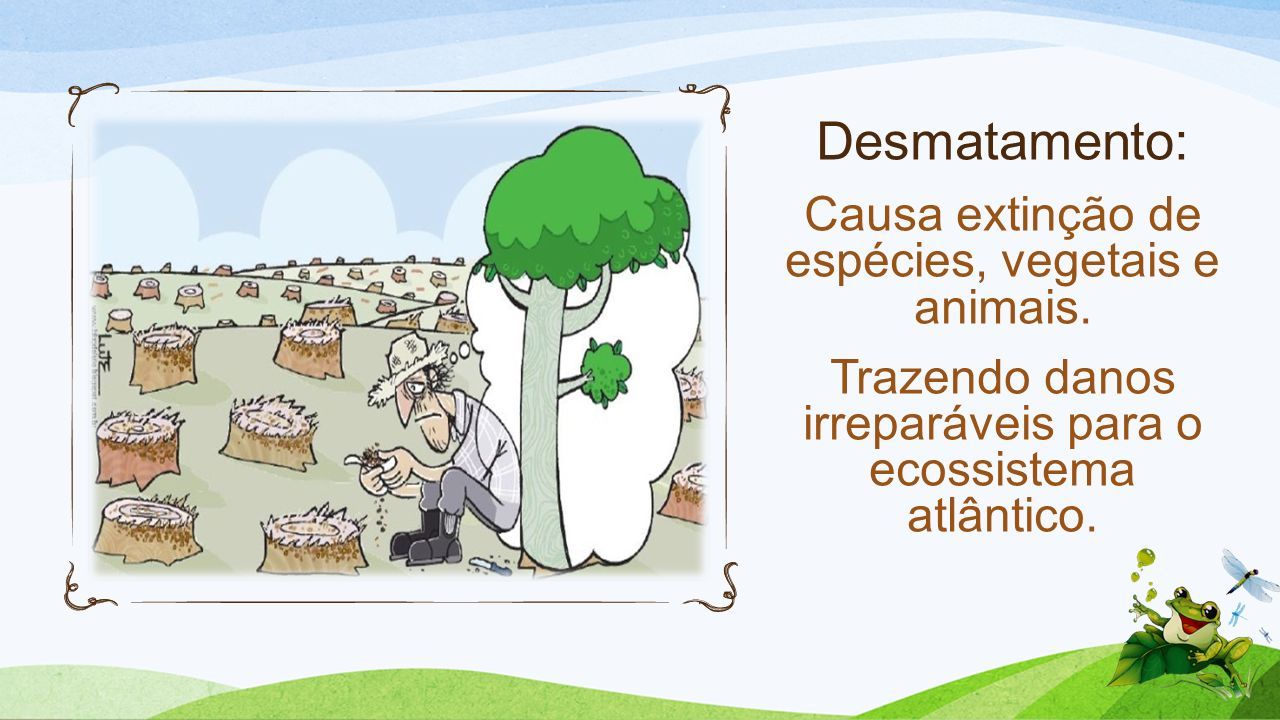 Desmatamento: Causa extinção de espécies, vegetais e animais.