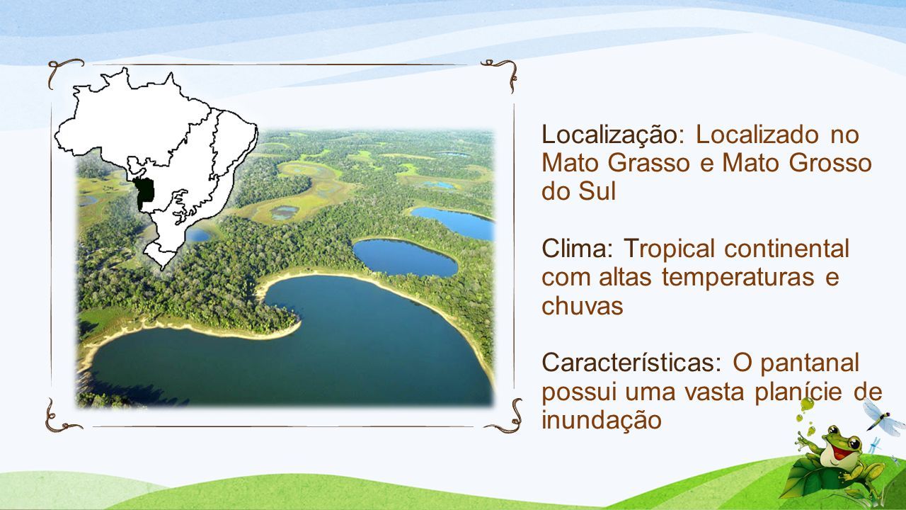 Localização: Localizado no Mato Grasso e Mato Grosso do Sul Clima: Tropical continental com altas temperaturas e chuvas Características: O pantanal possui uma vasta planície de inundação