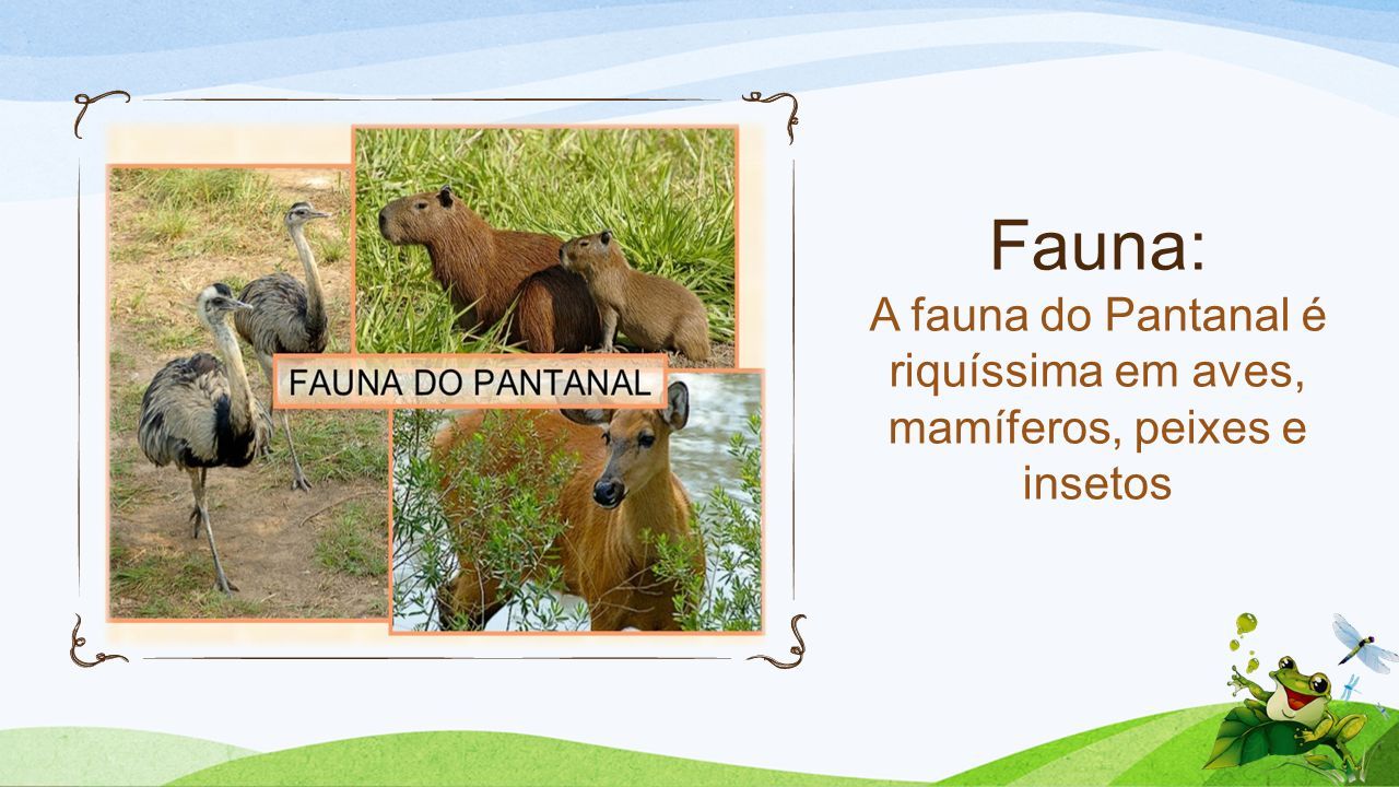 Fauna: A fauna do Pantanal é riquíssima em aves, mamíferos, peixes e insetos