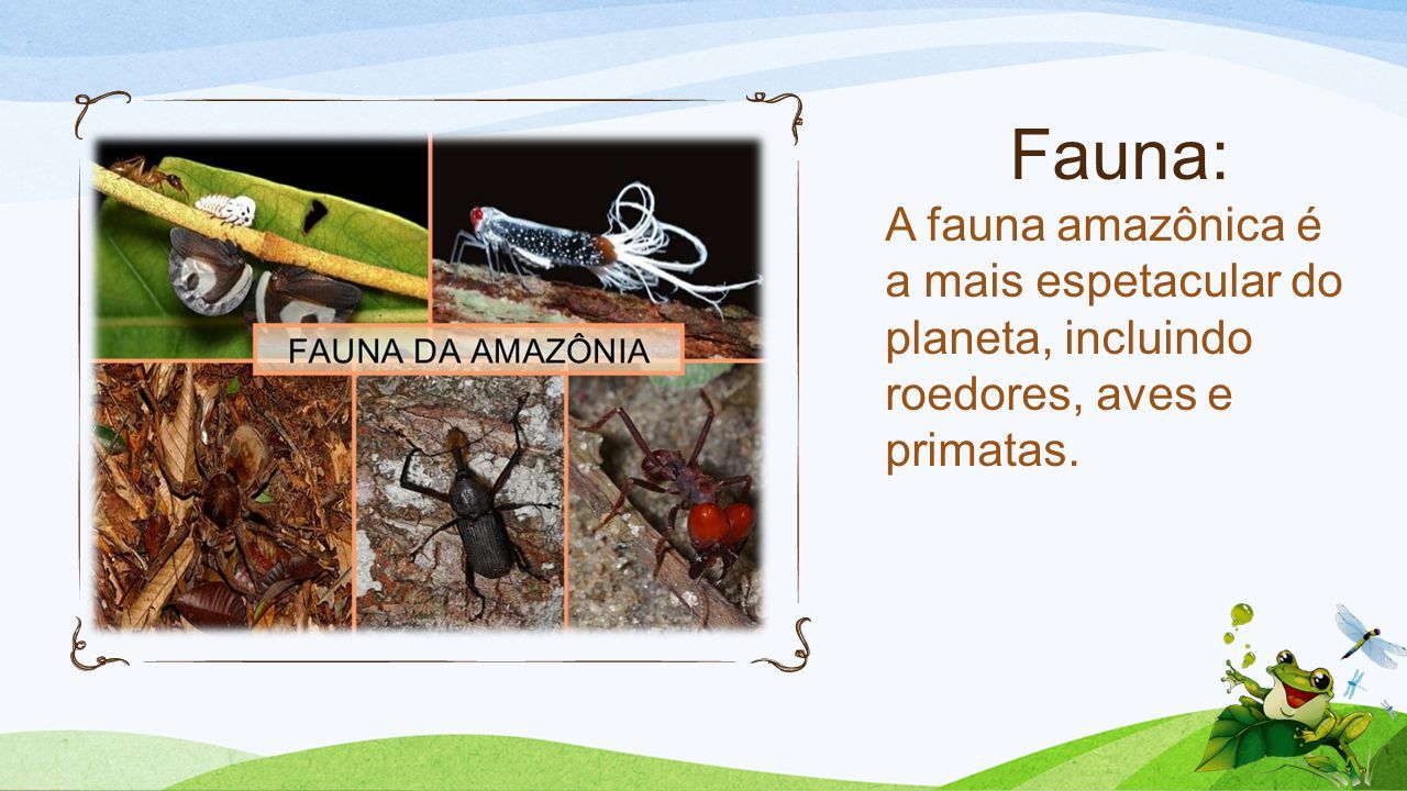 Fauna: A fauna amazônica é a mais espetacular do planeta, incluindo roedores, aves e primatas.