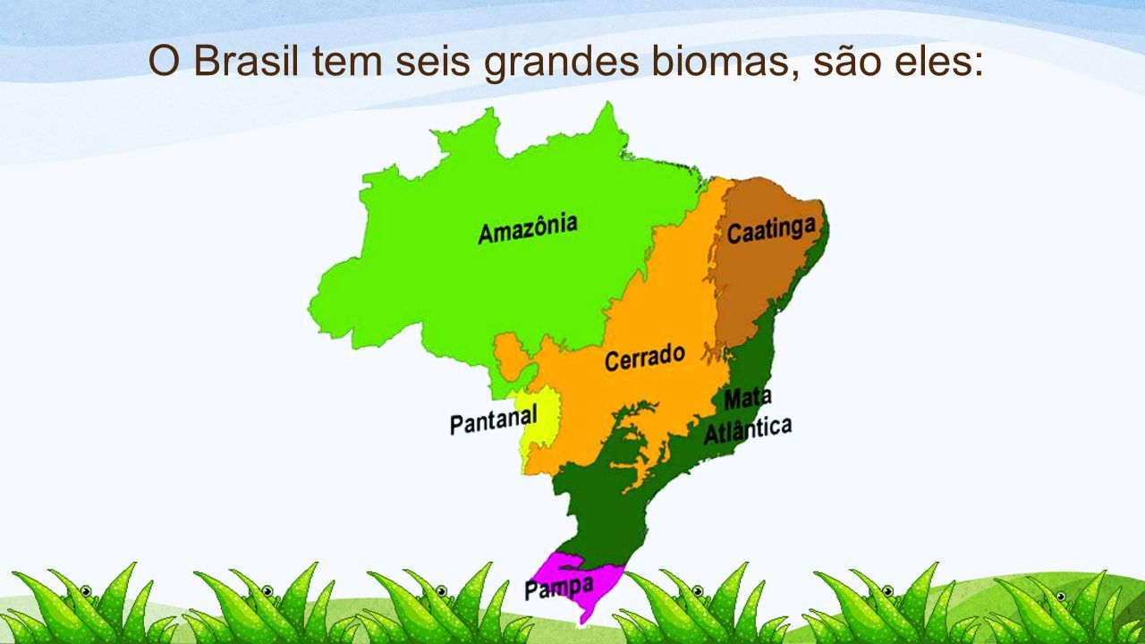 O Brasil tem seis grandes biomas, são eles:
