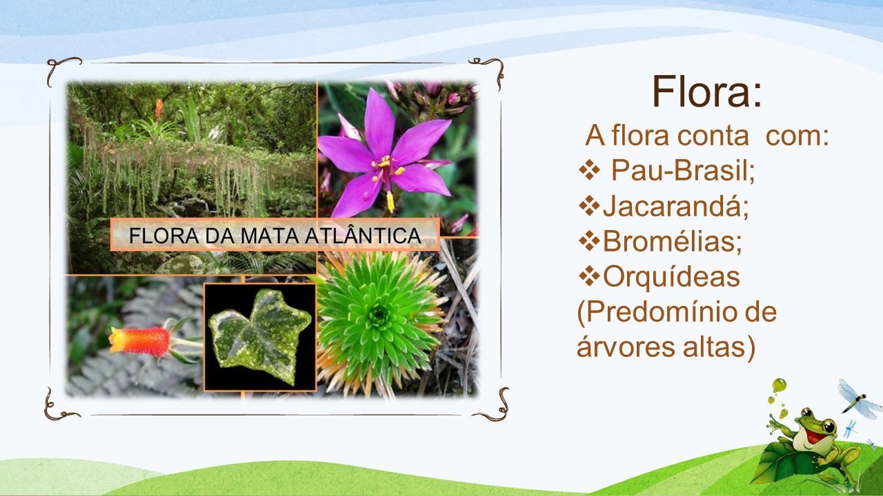 Flora: A flora conta com:  Pau-Brasil;  Jacarandá;  Bromélias;  Orquídeas (Predomínio de árvores altas)