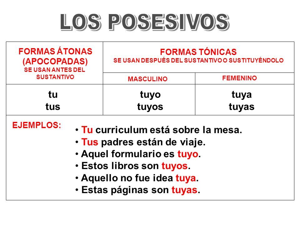 FORMAS ÁTONAS (APOCOPADAS) SE USAN ANTES DEL SUSTANTIVO mi mis Mi  curriculum está sobre la mesa. Mis padres están de viaje. Aquel formulario  es mío. Estos. - ppt carregar