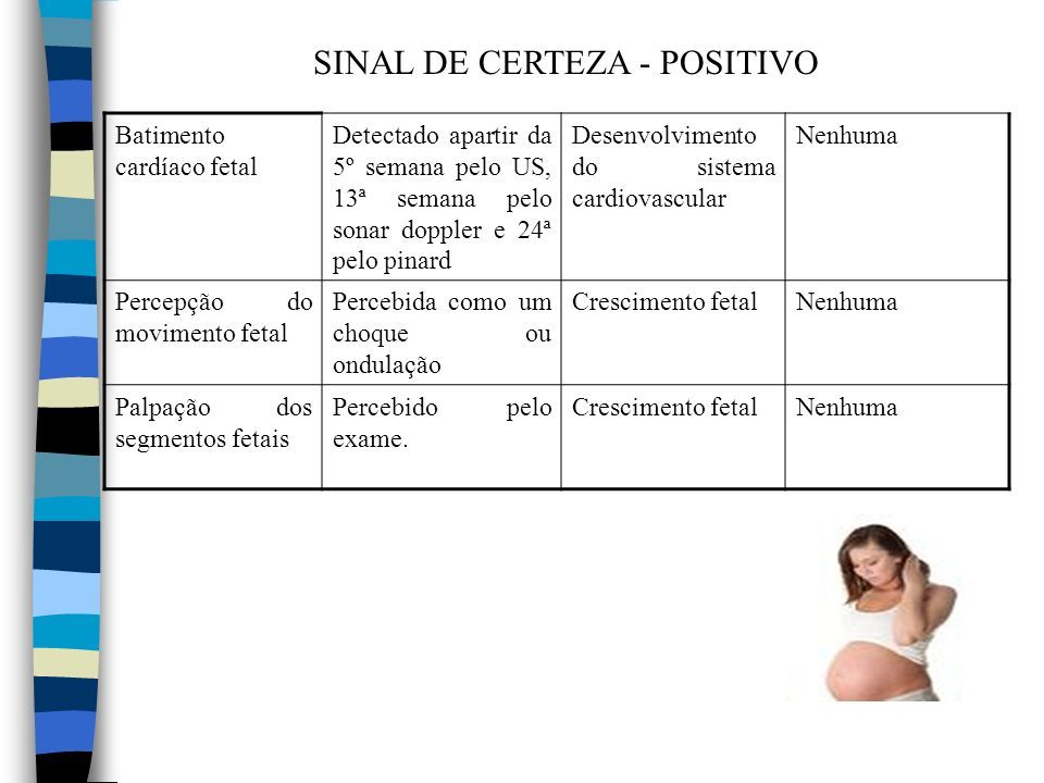 Fecundação E Anexos Da Gestação Diagnóstico De Gravidez Ppt Carregar 